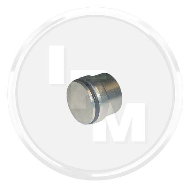 Picture of STO 15-L/O (22mm)BLANK CAP C/W NUT
