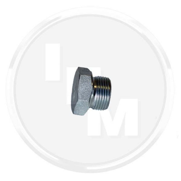 Picture of 5/8" BSP BLANKING PLUGS