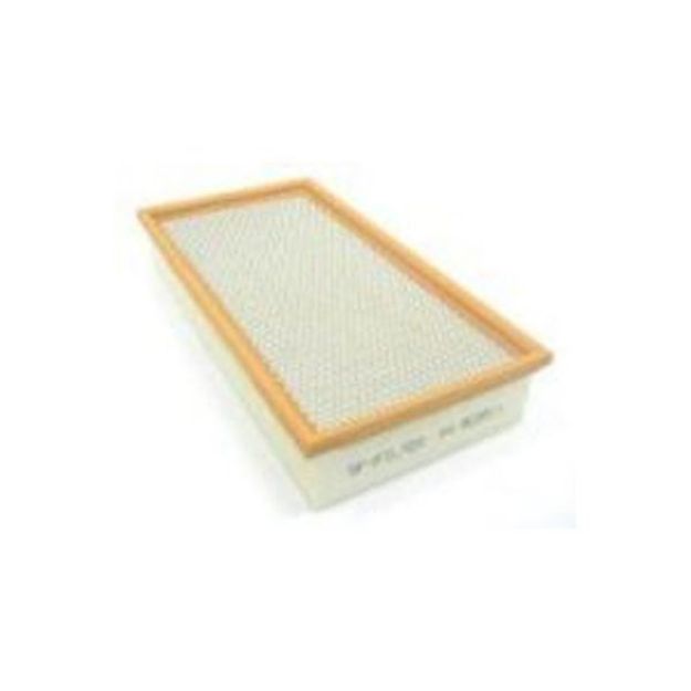 Picture of C29198 AIR FILTER