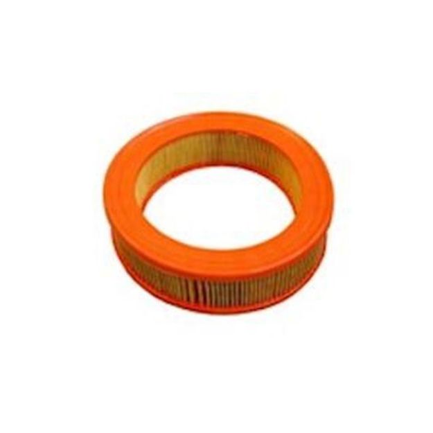 Picture of C2953-1 AIR FILTER