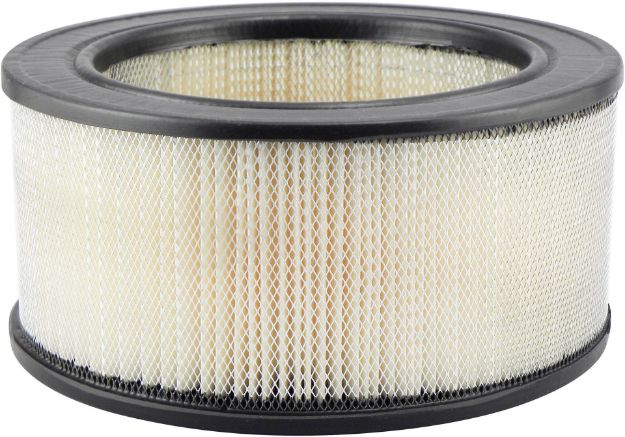 Picture of PA1719 AIR ELEMENT