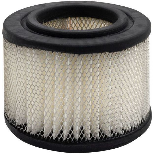 Picture of PA2476 AIR ELEMENT
