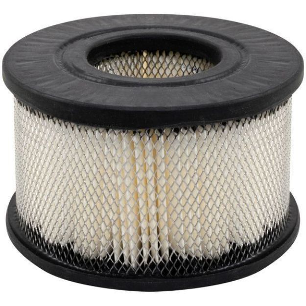 Picture of PA2477 AIR ELEMENT