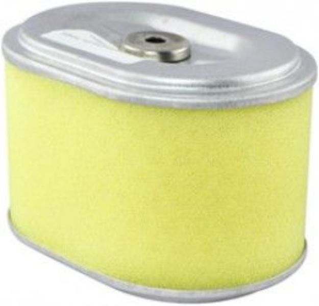 Picture of PA4820 OVAL AIR ELEMENT WITH FOAM WRAP