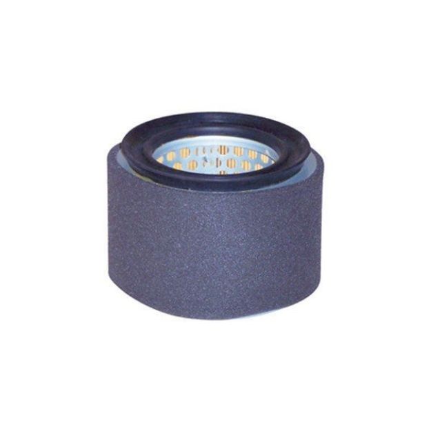 Picture of PA4733 AIR ELEMENT WITH FOAM WRAP
