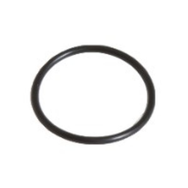 Picture of O RING TRANS