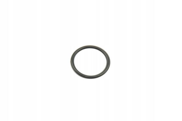 Picture of O RING