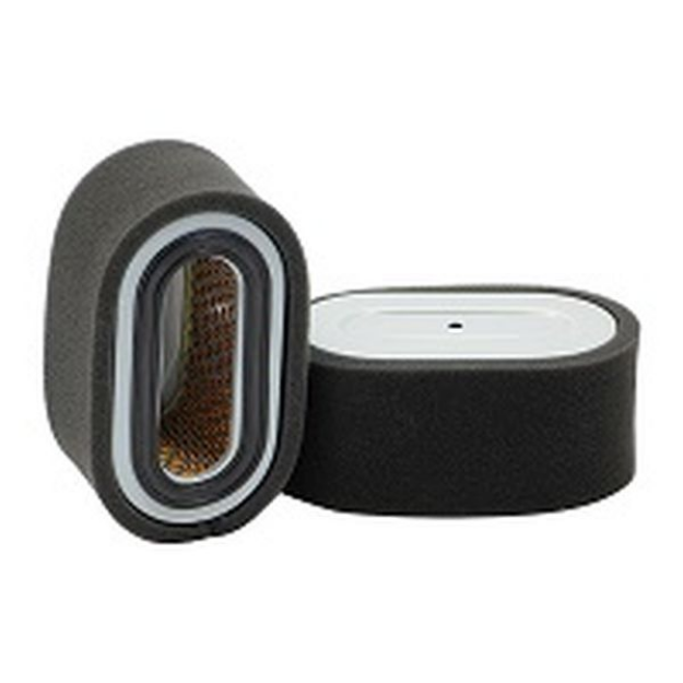 Picture of AIR FILTER