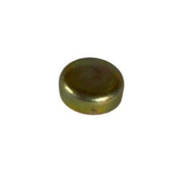 Picture of CORE PLUG