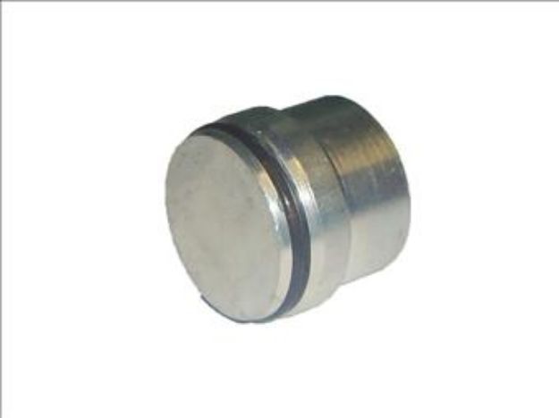 Picture of STO 12-L/S/O (20mm) BLANKING CAP INSERT 